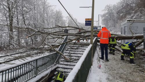 Umgestürzter Baum Und Stromschlag - Verletzte An S-Bahn-Station ...