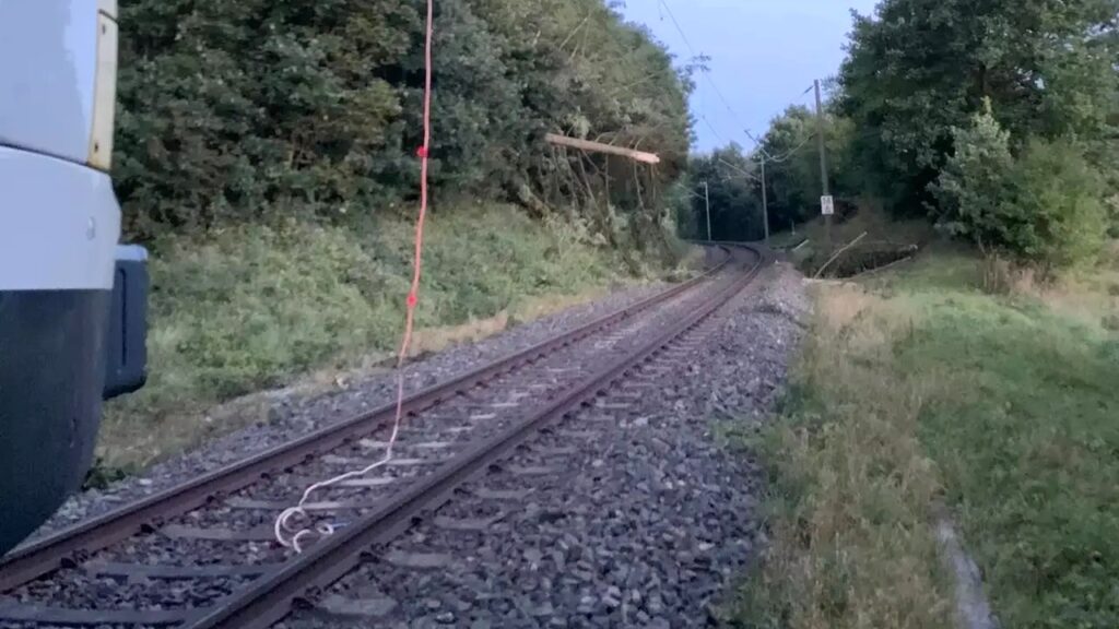 Baum Fällt Auf Oberleitung - Zug Kollidiert Mit Hindernis | Bahnblogstelle